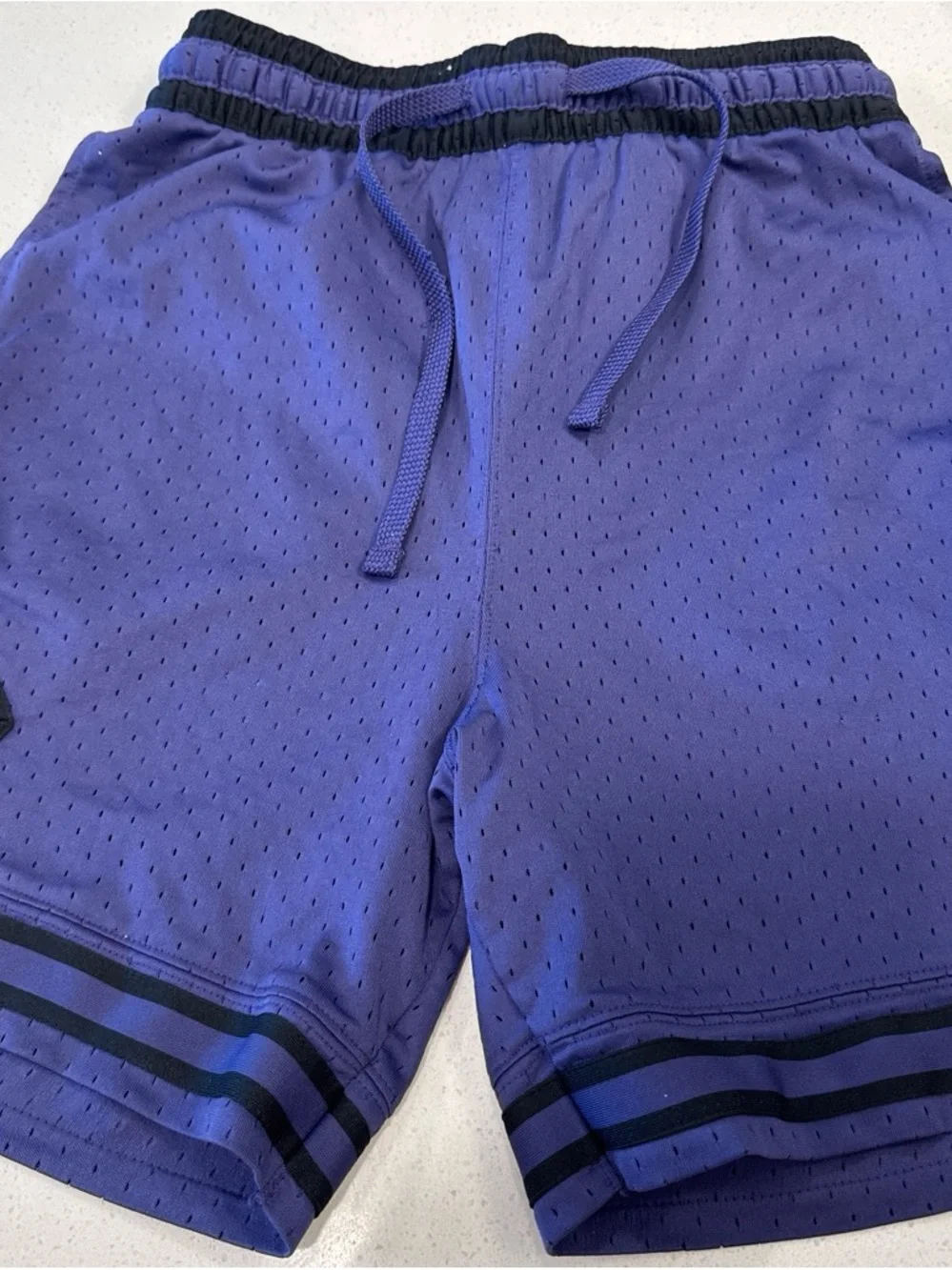 Jordan Men's Athletic Mesh Shorts in Purple and Black